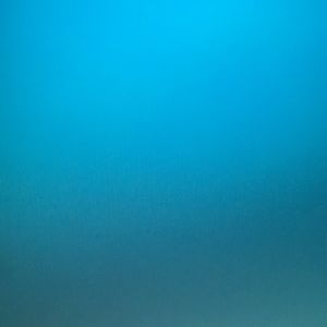 Meet your Posher, Blake